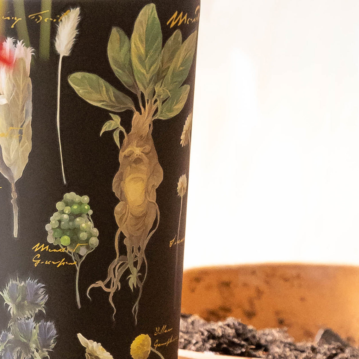 harry-potter-cold-cup-a3 Herbology-3.jpg