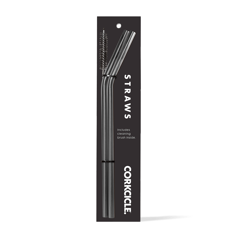 tumbler-straw-2-pack-i9 gunmetal.png