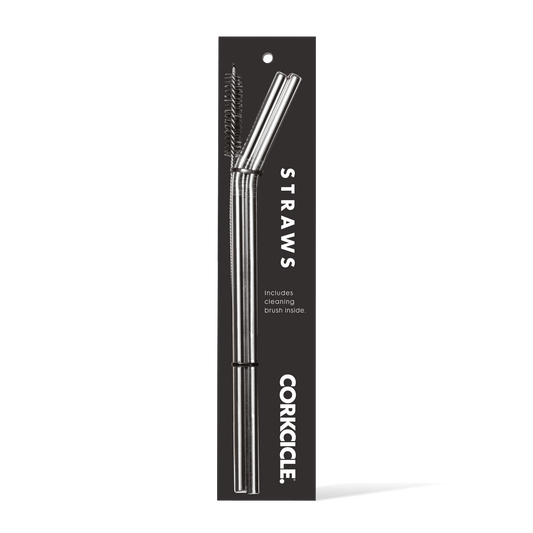tumbler-straw-2-pack-i9 straw_stainless_with_brush-1.png